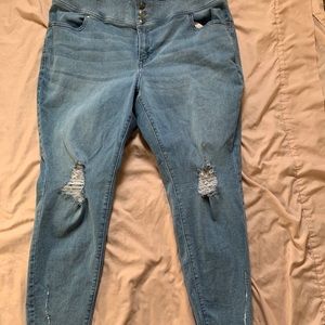Lane Bryant Jeans